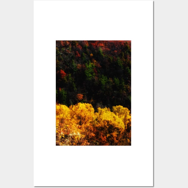 Autumn Contrast Wall Art by Isla Creek Casuals